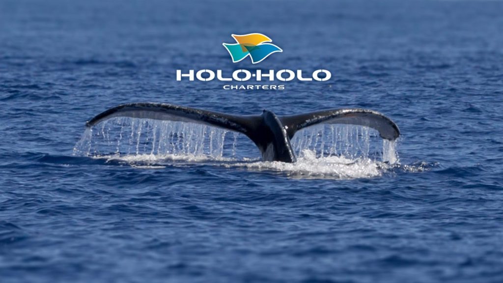 holoholokauaiboattours