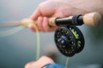 Reasons to go Fishing